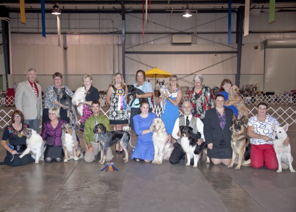 Best of show winners from the middle Georgia Kennel Club from multiple shows.