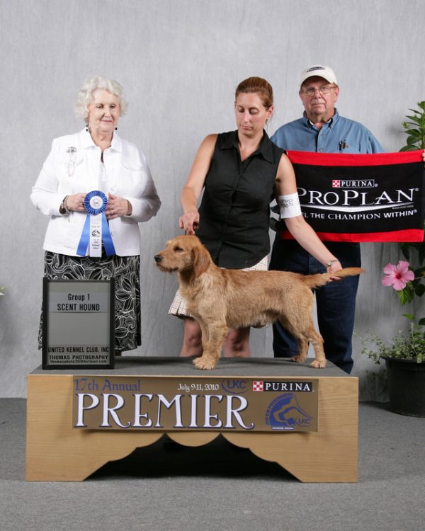 Chase was the first Fauve to be shown & win a Championship in the US. He sired several lovely puppies. He crossed the Rainbow bridge in 2020 @ 15 years old. © Copyright Cindy Hartman 2020