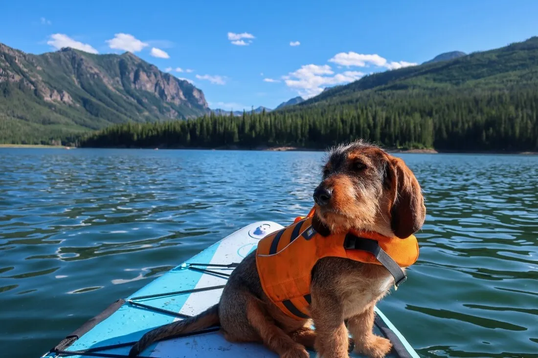 Photo courtesy of Gus O'Keefe.