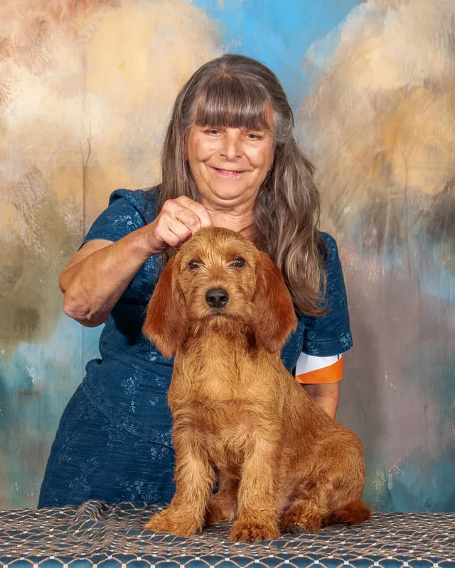 A dog is sitting on an awards table at a dog show next to her ribbon.
