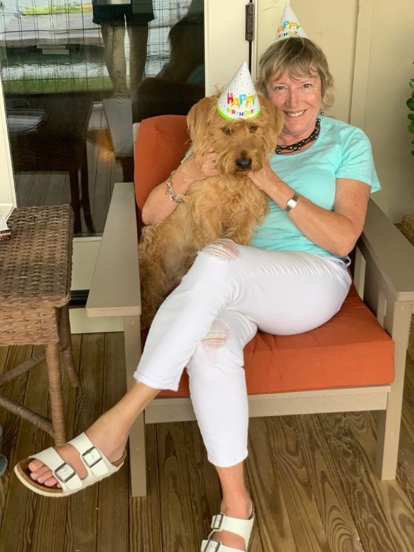A birthday hat on a Fauve dog.